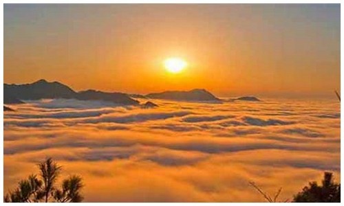 2026最新龙岛异兽官网介绍电脑端如何安装？附官网活动入口